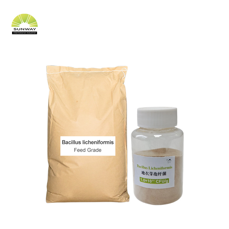 Bacillus Licheniformis Powder 20 مليار CFU / g تغذية الصف بروبيوتيك صحة الأمعاء الحيوانية لإضافات الأعلاف