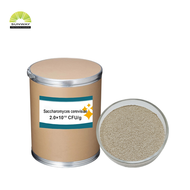 مصنع 20 مليار Saccharomyces Cerevisiae خميرة البيرة مسحوق إضافات الأعلاف الحيوانية للدواجن والماشية والخنازير والأغنام