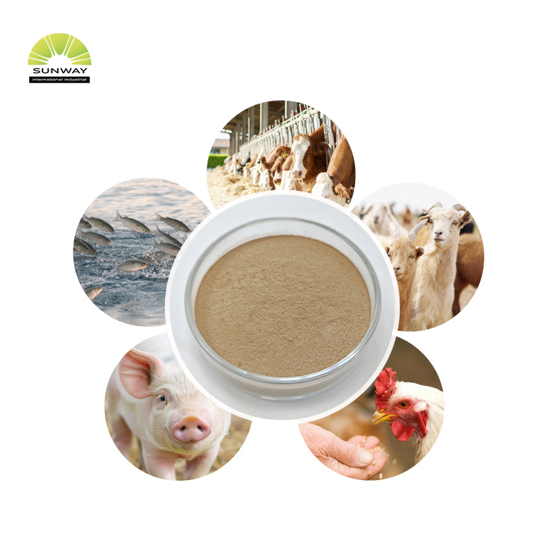 سعر مسحوق إنزيم ألفا الأميليز عالي الجودة