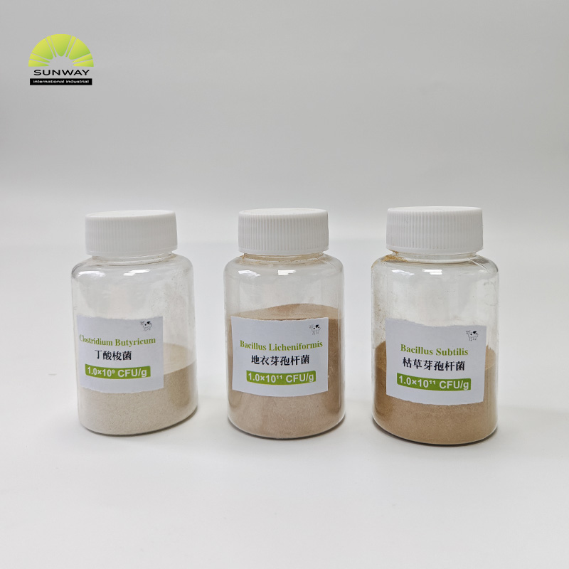 Bacillus Licheniformis Powder 20 مليار CFU / g تغذية الصف بروبيوتيك صحة الأمعاء الحيوانية لإضافات الأعلاف