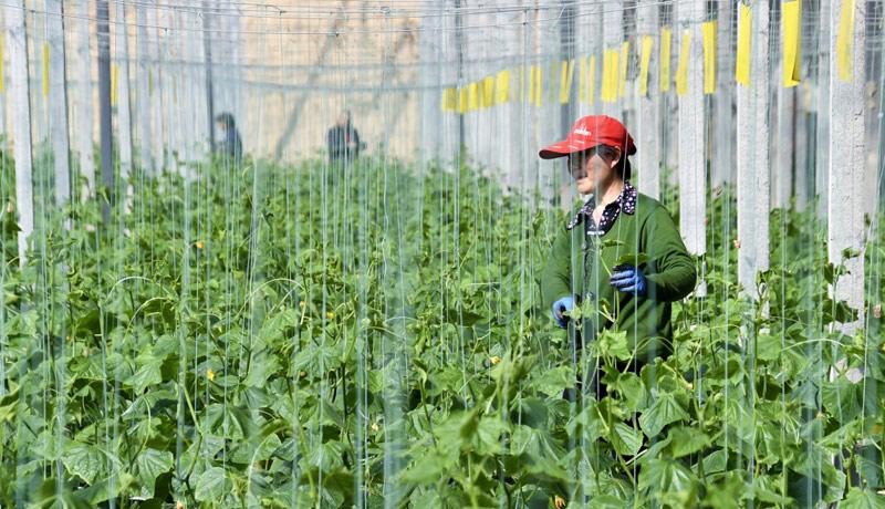 105E6239-968E-4116-AF4E-BD9D9D9D9D9D9B2AB1