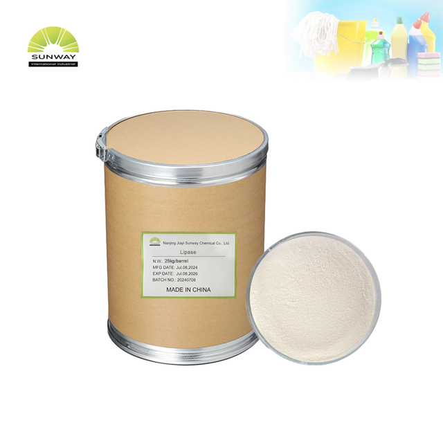 المواد الكيميائية اليومية إنزيم الاستعدادات مسحوق إنزيم الليباز CAS 9001-62-1