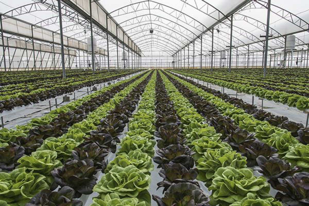 81DB586A-352E-352E-4F7D-8369-28DEA62C11FA